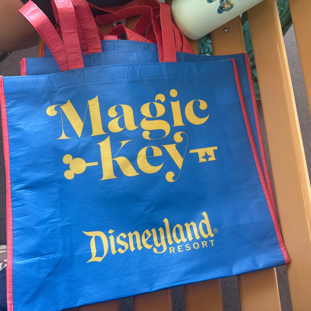 2025 DISNEY MAGIC KEY HOLDER 70th anniversary reusable tote